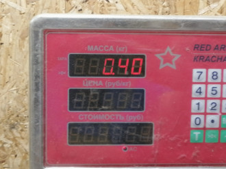 Петля двери задней левой верхняя Mitsubishi Legnum EA