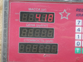 Ступица передняя Volkswagen Touareg 2002 2010