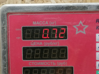 Ремень безопасности задний левый Chery Amulet 2006-2012