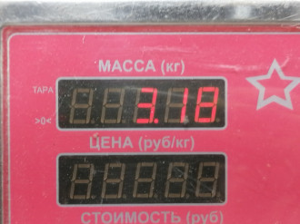 Ступица передняя Audi A5 2008 2016