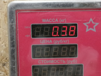 Трубка системы охлаждения Bmw 7 e66 2001-2008