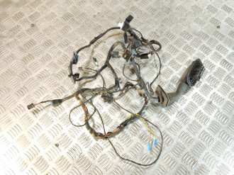 Проводка двери перед. Bmw X5 e70 2007-2013