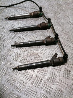 Форсунка двигателя Gaz 172412 2011