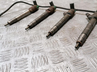 Форсунка двигателя Gaz 172412 2011