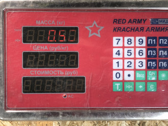 Козырек солнцезащитный Gaz 172412 2011