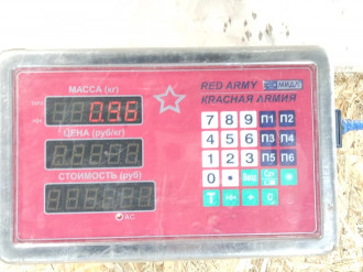 Петля двери задней правой нижняя Gaz 31105 2011