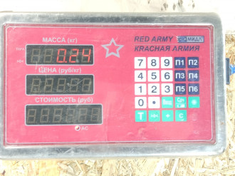 Амортизатор двери багажника Ford Focus 2 2005-2008