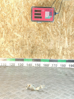 Петля двери передней правой нижняя Ford Focus 1 1998-2005