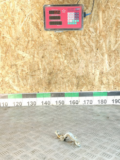 Петля двери задней левой нижняя Ford Focus 1 1998-2005