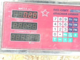 Обшивка стойки правая Fiat Albea 2002-2012