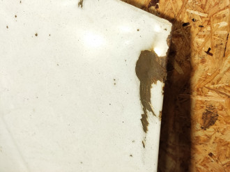 Капот Fiat Ducato 244 елабуг 2002-2006