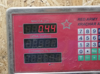 Петля двери задней левой верхняя Honda Civic 1988-1991