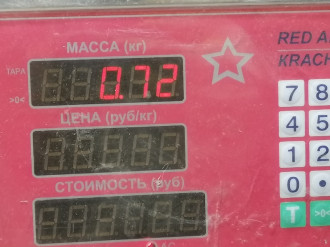Петля двери передней правой нижняя Hummer H3 2005-2010