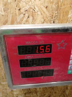 Ролик натяжитель Infiniti Qx 56 2004-2009