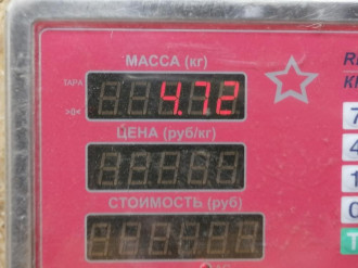 Кулак задний левый Lexus Gs 2005 2011