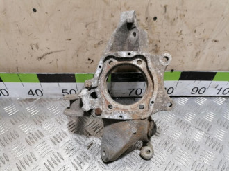 Кулак задний левый S 221