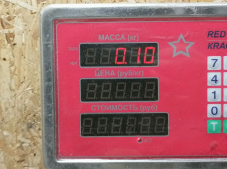 Блок управления светом C 202