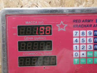 Рычаг задний нижний правый S 221