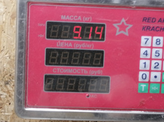 Кулак поворотный передний правый S 220