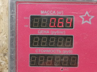 Тяга задняя поперечная S 220