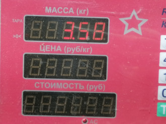 Ступица задняя S 221