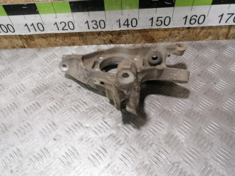 Кулак задний правый S 221