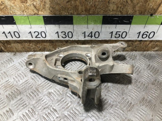 Кулак задний правый S 221