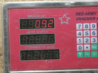 Бачок омывателя лобового стекла C 203