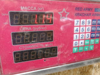 Молдинг крыла заднего правый G 463