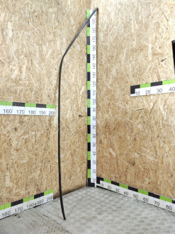 Молдинг крыши правый C 202