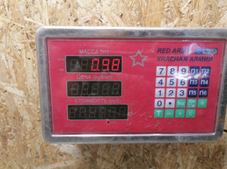 Петля двери задней левой нижняя A 169