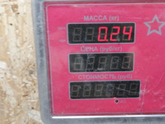 Петля двери передней левой нижняя E 210