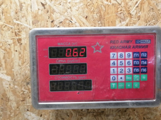 Петля двери задней левой нижняя S 221