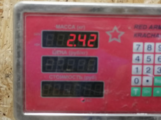 Шкив коленвала C 202