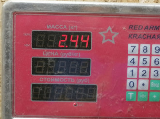 Шкив коленвала C 203