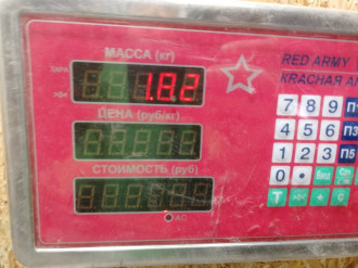 Панель передняя G 463