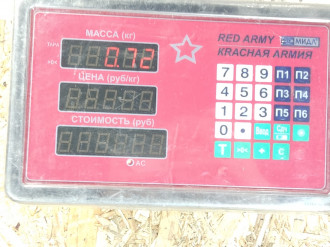 Ограничитель двери передний S 221