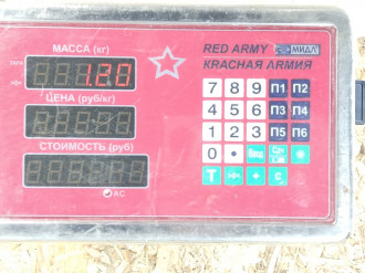 Поршень с шатуном C 202