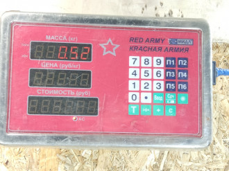 Петля двери передней левой нижняя C 203