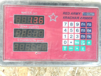 Ремень безопасности задний правый S 221