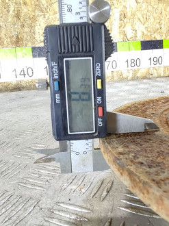Диск тормозной задний A 168