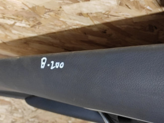 Обшивка двери задней левой B 246