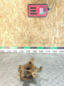 Кулак задний левый E 124