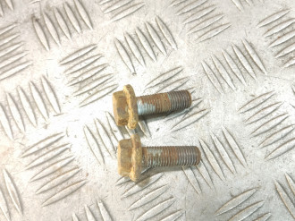 Болт крепления суппорта заднего Ml 164