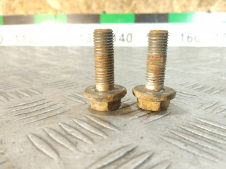 Болт крепления суппорта заднего Ml 164