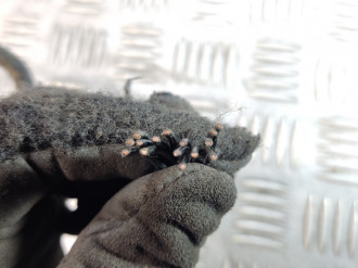 Зеркало правое Ml 164