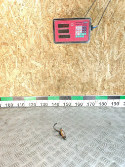 Форсунка двигателя Ml 164