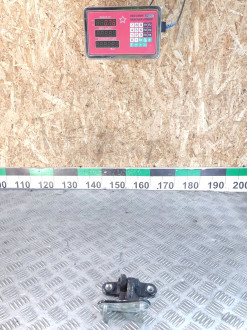 Петля двери задней левой верхняя Gl 166