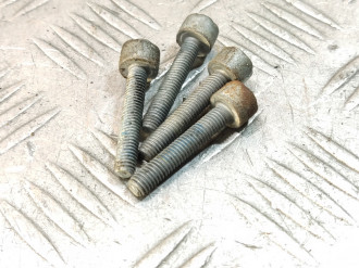 Болт дроссельной заслонки Ml 163