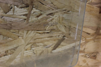 Стекло двери передней правой Nissan Avenir 1995